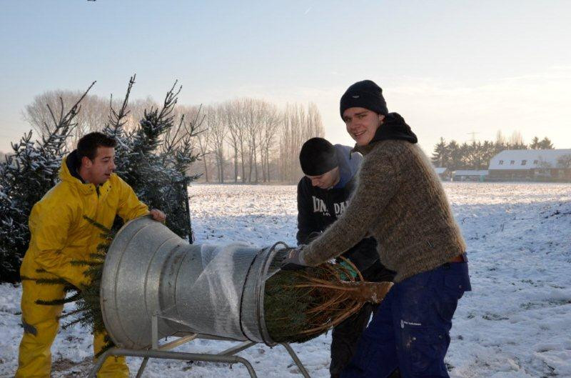 kerstboom-kopen-ellmann-kerstbomen-01