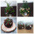 Ellmann-kerstversiering-12