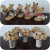 Ellmann-kerstversiering-27