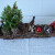 Ellmann-kerstversiering-74
