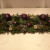 Ellmann-kerstversiering-78